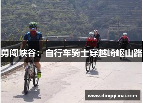 勇闯峡谷：自行车骑士穿越崎岖山路