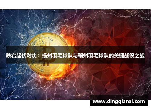 跌宕起伏对决：扬州羽毛球队与赣州羽毛球队的关键战役之战